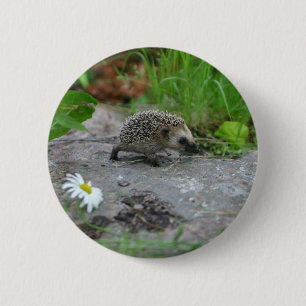Hedgehog button - customisable