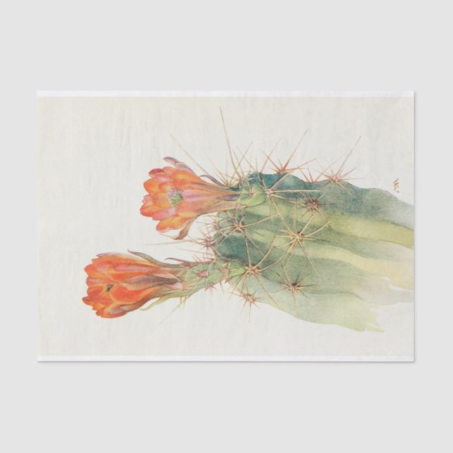 Hedgehog Cactus by Margaret Armstrong Tissue Paper (Front)