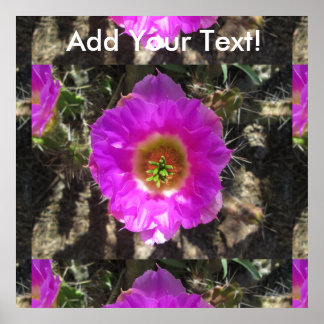 Hedgehog Cactus  Flower Poster