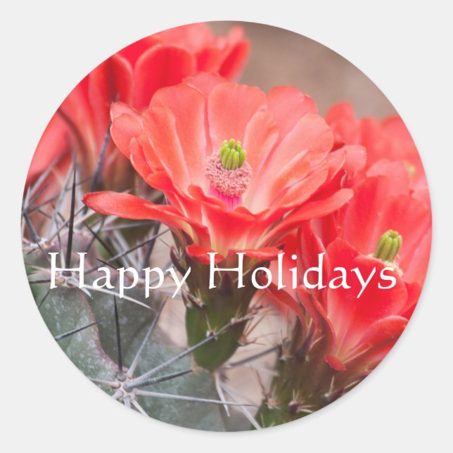 Hedgehog Cactus ,Happy Holidays Classic Round Sticker (Front)
