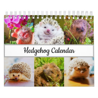Hedgehog Calendar