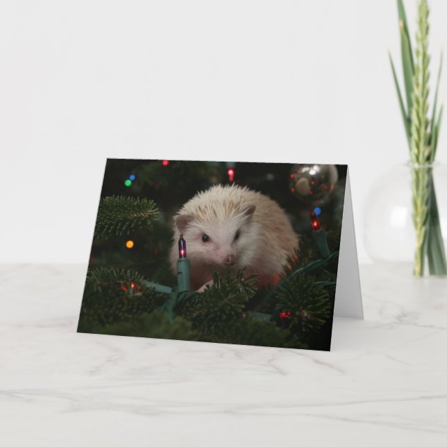 Hedgehog Christmas Card (Front)