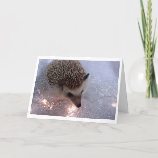 Hedgehog Christmas Card