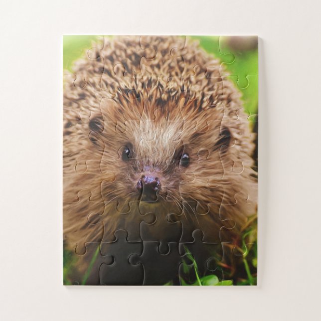 Hedgehog Curiously Exploring in Nature Jigsaw Puzzle (Vertical)