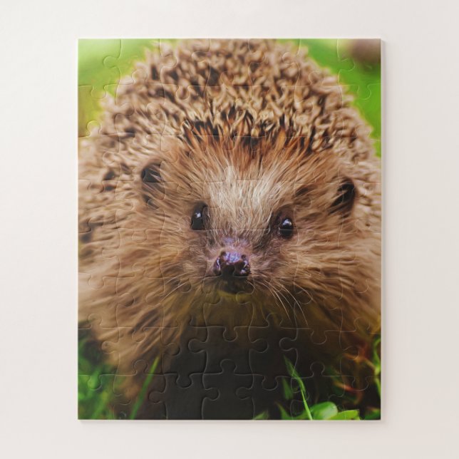Hedgehog Curiously Exploring in Nature Jigsaw Puzzle (Vertical)