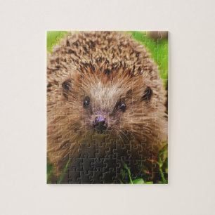 Hedgehog Curiously Exploring in Nature Jigsaw Puzzle