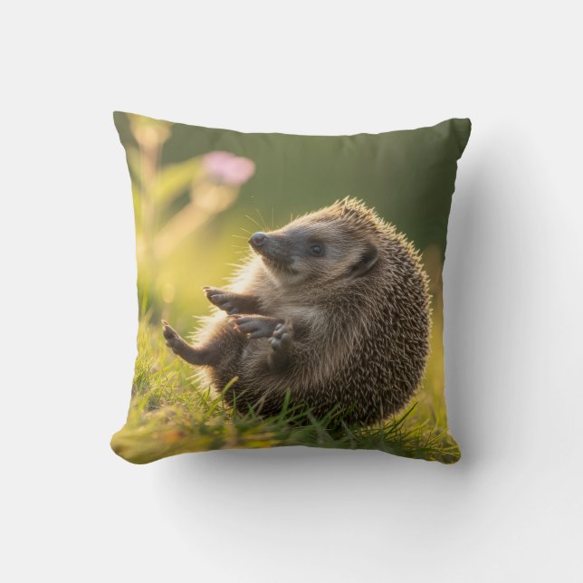  Hedgehog cushion (Front)