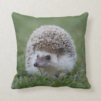 Hedgehog Cushion