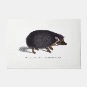 Hedgehog Door Mat