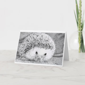 Hedgehog Drawing Greeting Cards