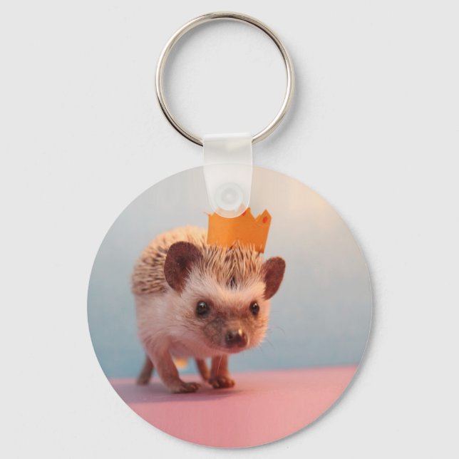Hedgehog Happiness Key Ring (Front)