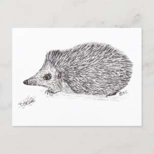 HEDGEHOG HOLIDAY POSTCARD