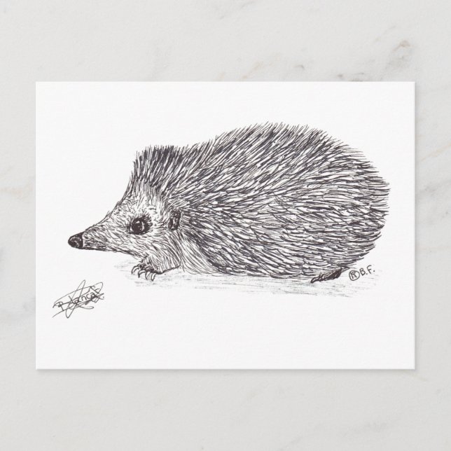 HEDGEHOG HOLIDAY POSTCARD (Front)