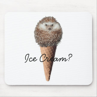 Hedgehog Ice Cream Mouse Pad