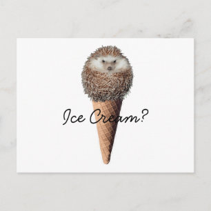 Hedgehog Ice Cream Postcard