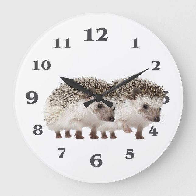Hedgehog image for Acrylic Wall Clock (Front)