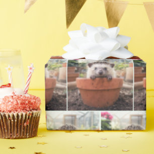 Hedgehog in a Clay Flower Pot Wrapping Paper