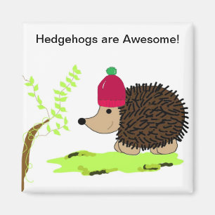 Hedgehog in a Red Toque Magnet
