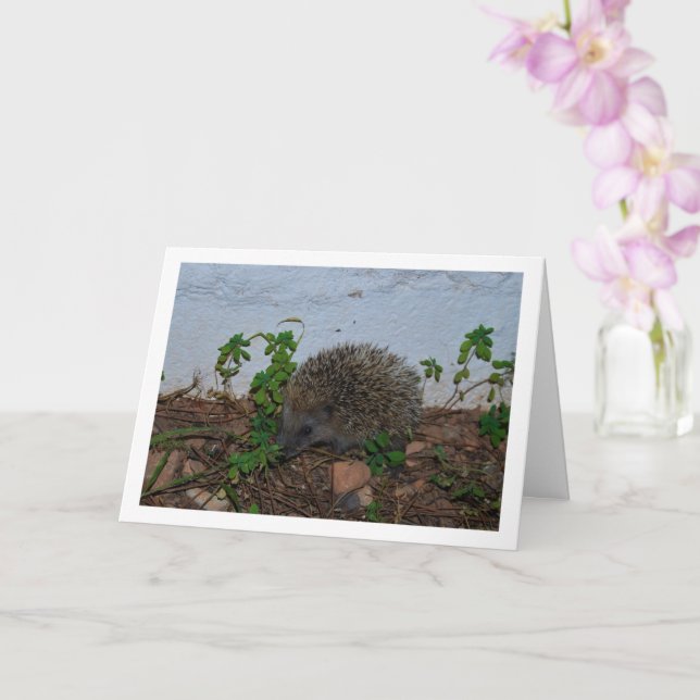 Hedgehog in Garden Portrait Card (Orchid)
