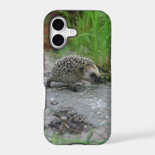 Hedgehog iPhone Case-Mate