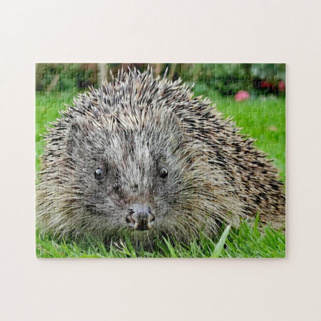 Hedgehog  jigsaw puzzle (Horizontal)