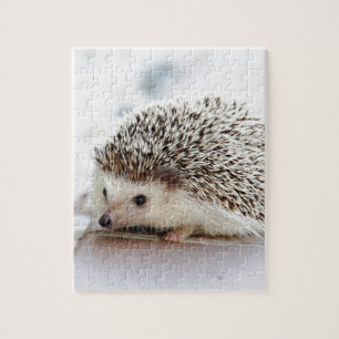 Hedgehog Jigsaw Puzzle