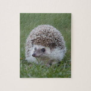 Hedgehog Jigsaw Puzzle
