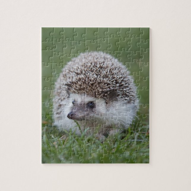 Hedgehog Jigsaw Puzzle (Vertical)