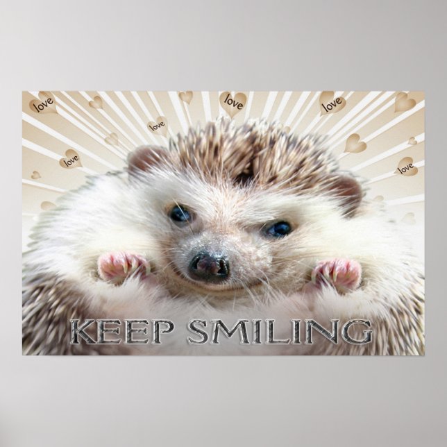 HEDGEHOG KEEP SMILING POSTER (Front)