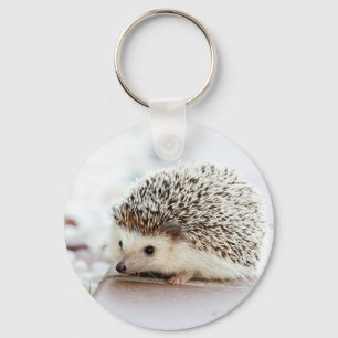 Hedgehog Key Ring