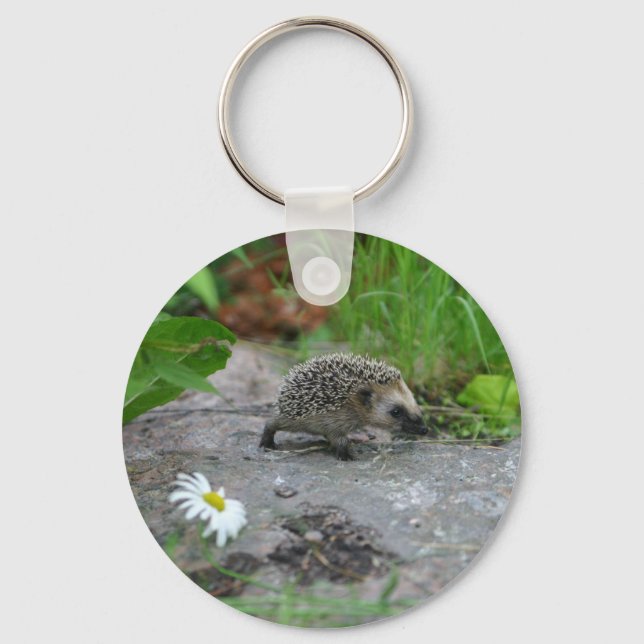 Hedgehog keychain (Front)