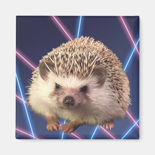 Hedgehog Laser Background Magnet (Front)
