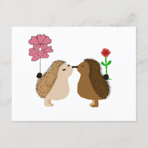 Hedgehog Love  Postcard