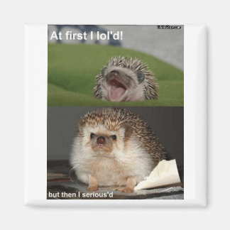 Hedgehog magnet