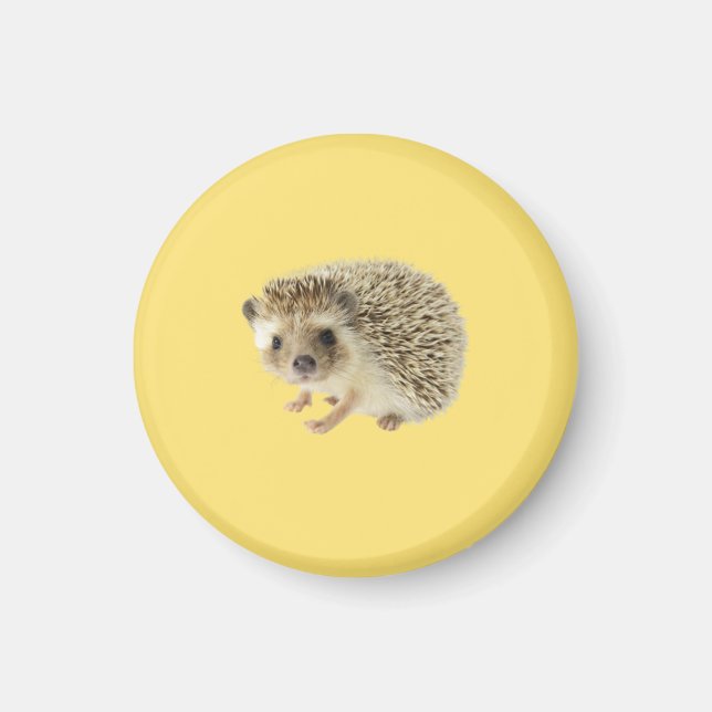 Hedgehog Magnet (Front)