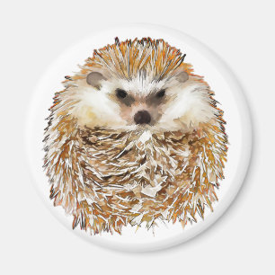 Hedgehog magnet