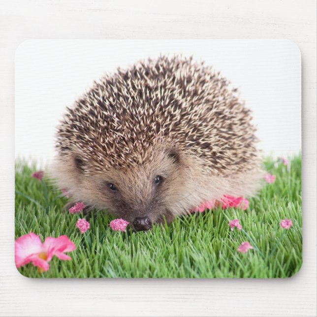 hedgehog, mouse pad (Front)
