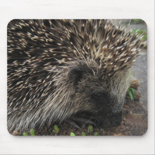 Hedgehog Mousepad