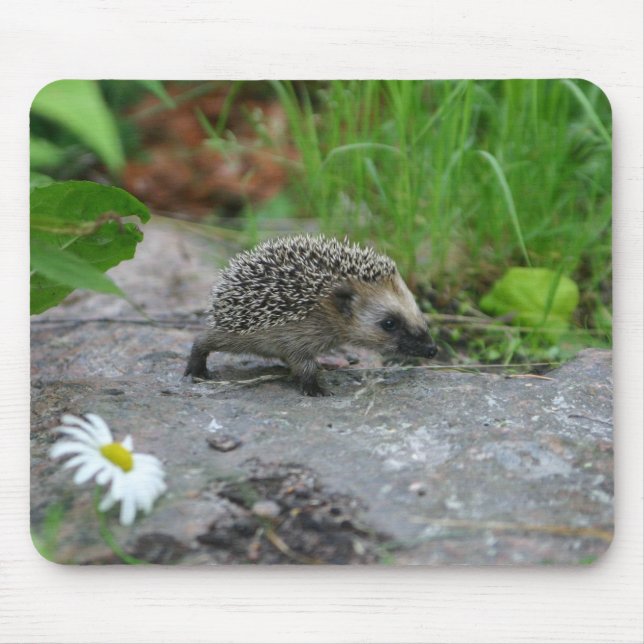 Hedgehog mousepad - customisable (Front)