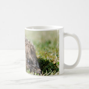 Hedgehog Mug