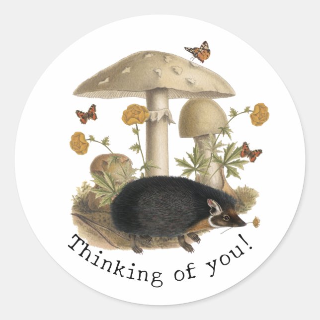 Hedgehog Mushroom Woodland  Classic Round Sticker (Front)