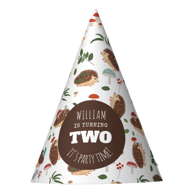 Hedgehog Mushroom Woodland Forest Funny Birthday Party Hat (Front)