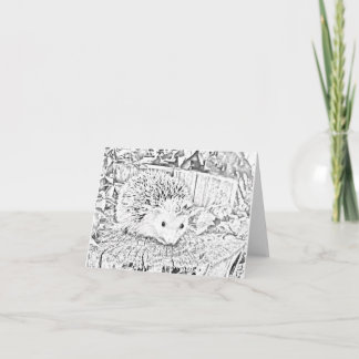 Hedgehog note card