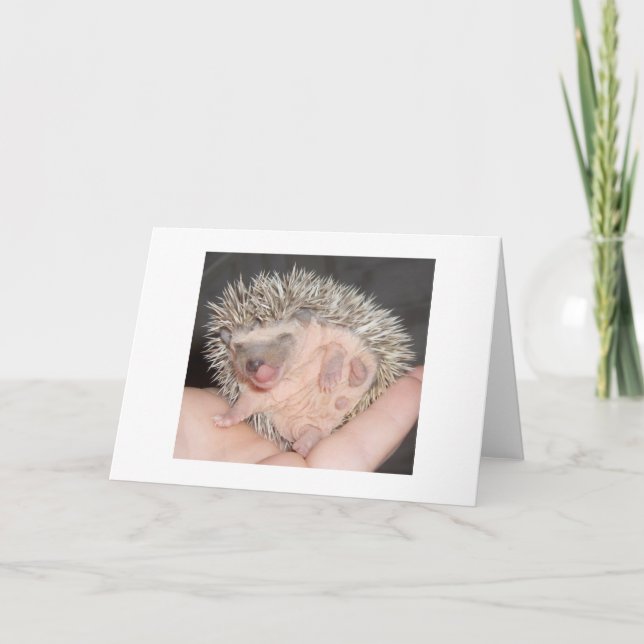 Hedgehog Notecard (Front)