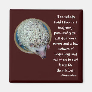 Hedgehog or Person magnet