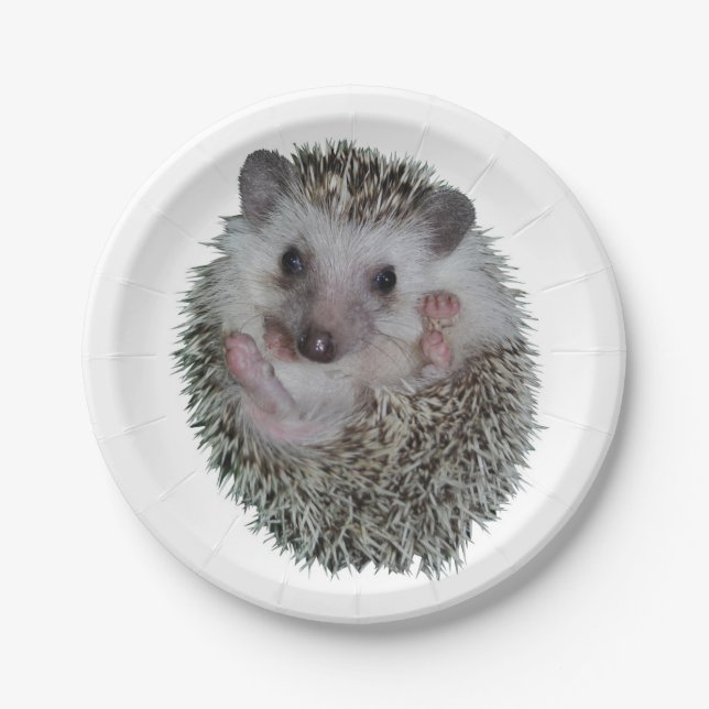 Hedgehog Paper Plate (Front)