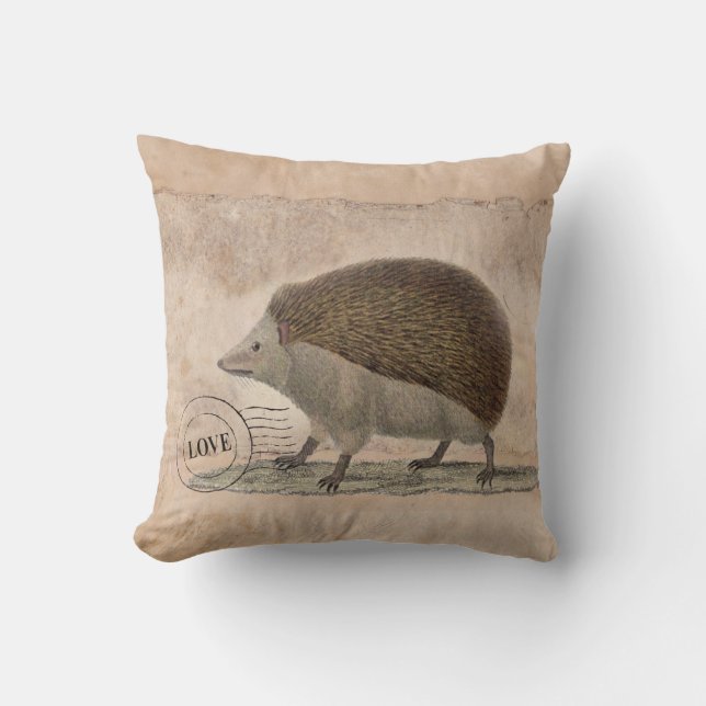 Hedgehog Pillow 20x20 (Front)