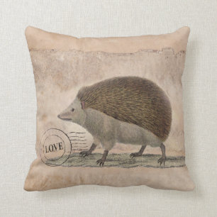 Hedgehog Pillow 20x20