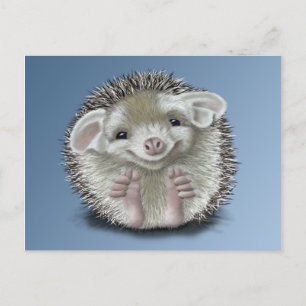 Hedgehog Postcard