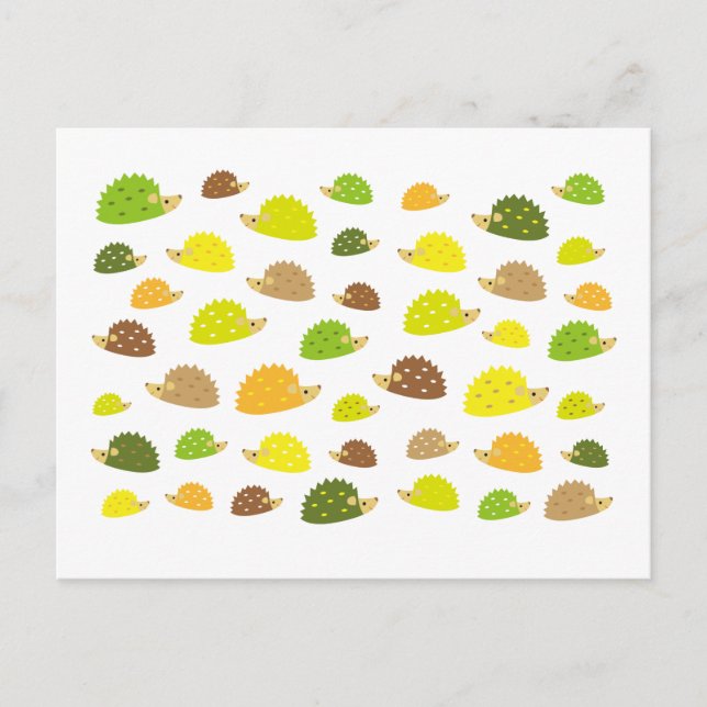 hedgehog postcard (Front)